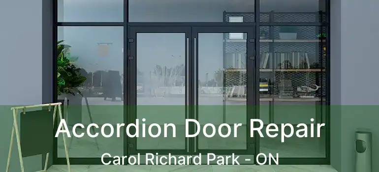  Accordion Door Repair Carol Richard Park - ON
