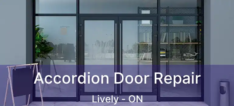  Accordion Door Repair Lively - ON