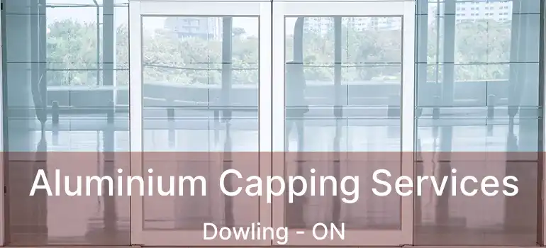  Aluminium Capping Services Dowling - ON