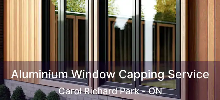  Aluminium Window Capping Service Carol Richard Park - ON