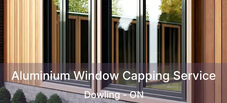  Aluminium Window Capping Service Dowling - ON