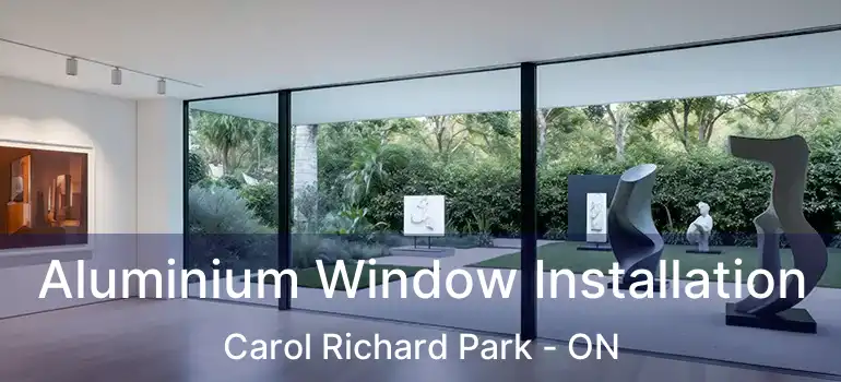  Aluminium Window Installation Carol Richard Park - ON