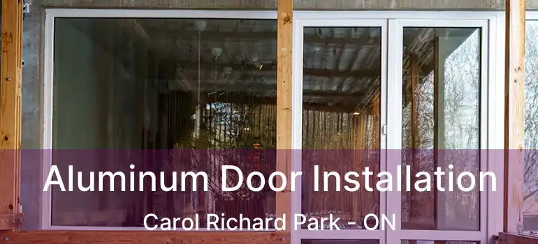  Aluminum Door Installation Carol Richard Park - ON