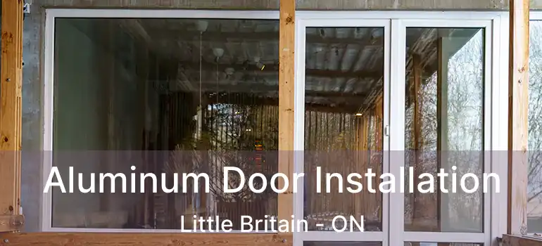  Aluminum Door Installation Little Britain - ON
