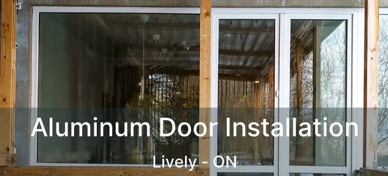  Aluminum Door Installation Lively - ON