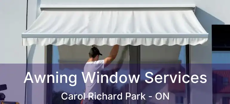 Awning Window Services Carol Richard Park - ON