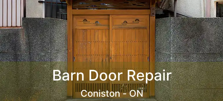  Barn Door Repair Coniston - ON