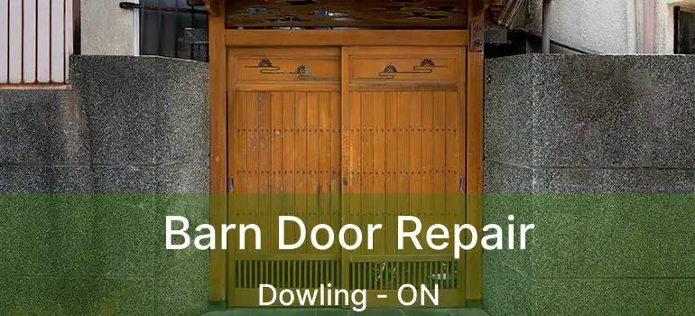  Barn Door Repair Dowling - ON