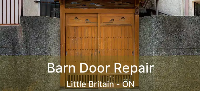  Barn Door Repair Little Britain - ON