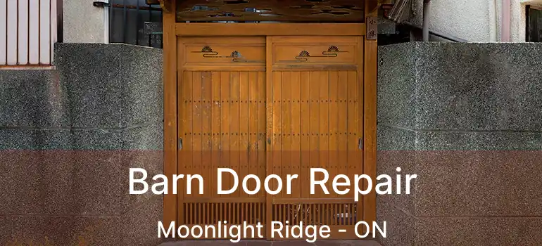  Barn Door Repair Moonlight Ridge - ON