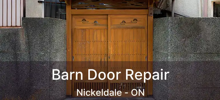  Barn Door Repair Nickeldale - ON