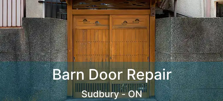  Barn Door Repair Sudbury - ON