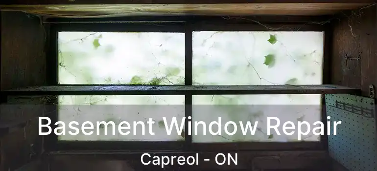  Basement Window Repair Capreol - ON