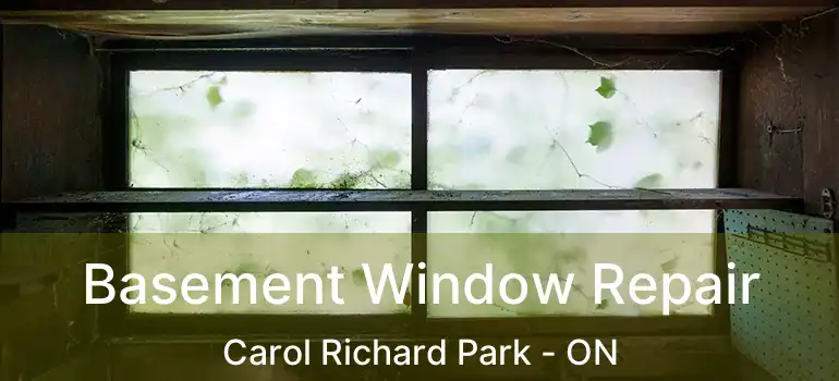  Basement Window Repair Carol Richard Park - ON