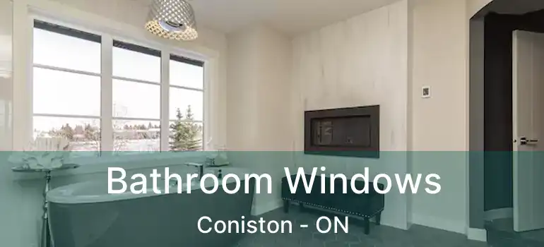  Bathroom Windows Coniston - ON