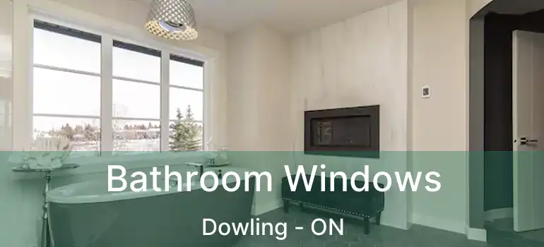  Bathroom Windows Dowling - ON