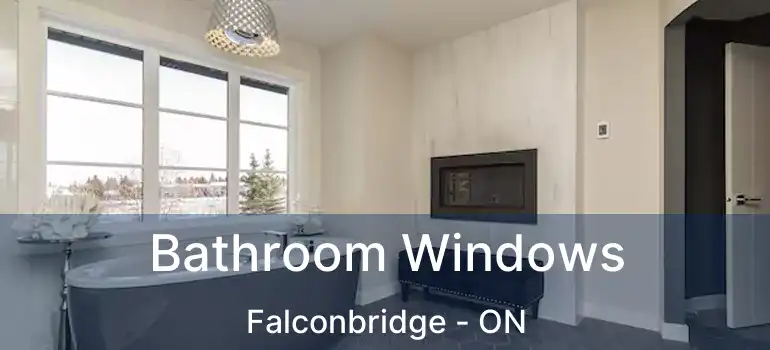  Bathroom Windows Falconbridge - ON