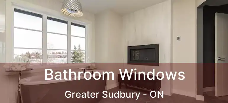  Bathroom Windows Greater Sudbury - ON