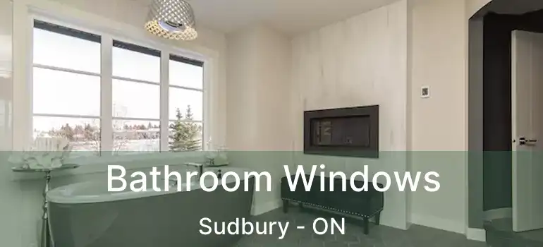  Bathroom Windows Sudbury - ON