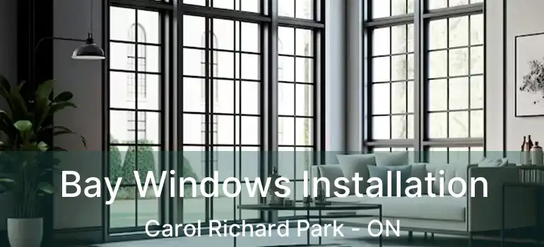  Bay Windows Installation Carol Richard Park - ON