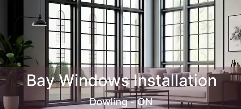  Bay Windows Installation Dowling - ON