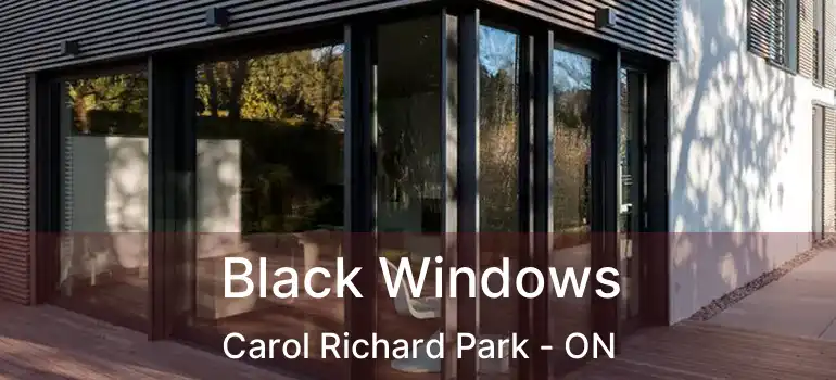  Black Windows Carol Richard Park - ON