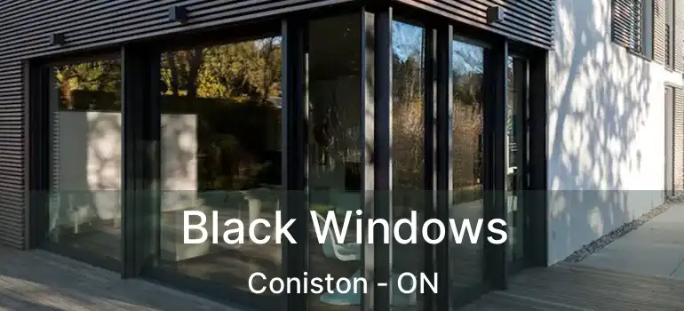  Black Windows Coniston - ON