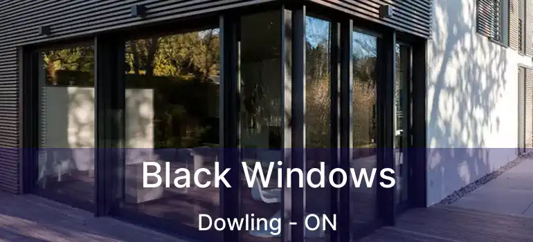  Black Windows Dowling - ON