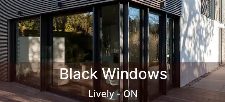  Black Windows Lively - ON
