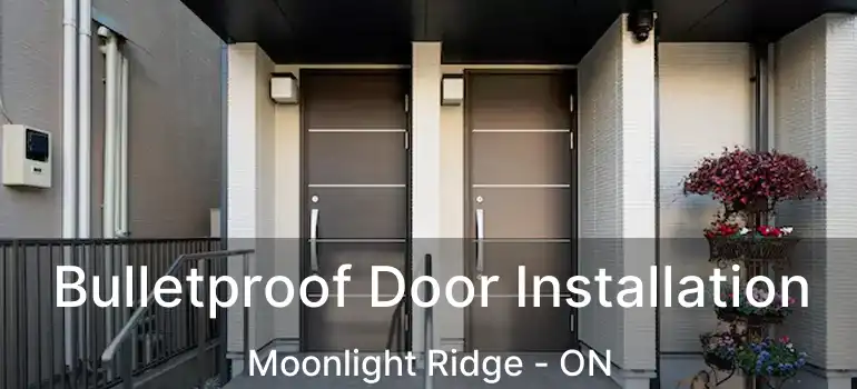  Bulletproof Door Installation Moonlight Ridge - ON