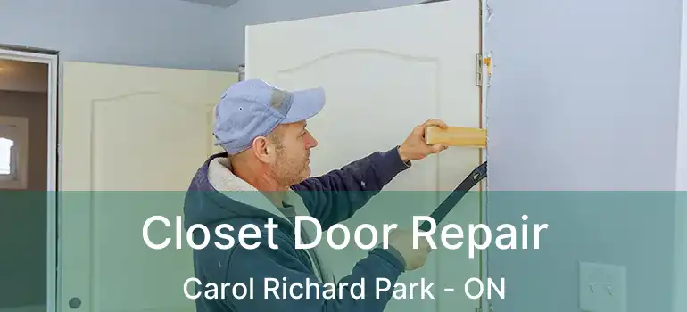  Closet Door Repair Carol Richard Park - ON