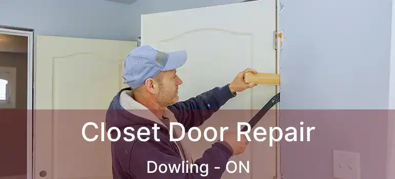  Closet Door Repair Dowling - ON