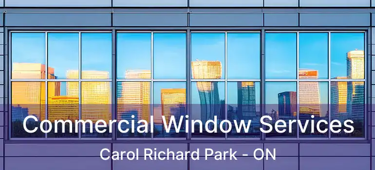  Commercial Window Services Carol Richard Park - ON