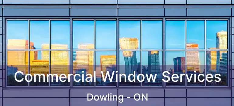  Commercial Window Services Dowling - ON