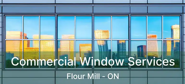  Commercial Window Services Flour Mill - ON