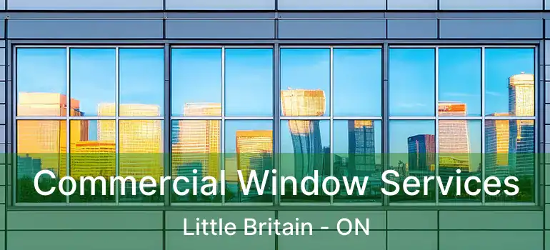  Commercial Window Services Little Britain - ON