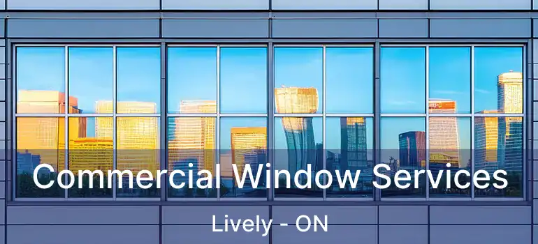  Commercial Window Services Lively - ON