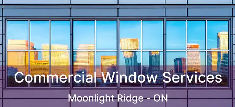  Commercial Window Services Moonlight Ridge - ON