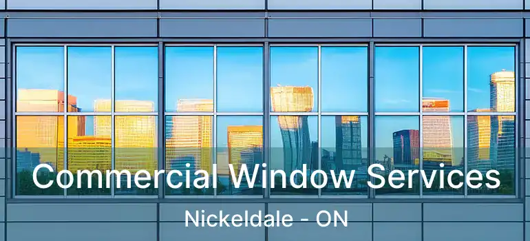  Commercial Window Services Nickeldale - ON