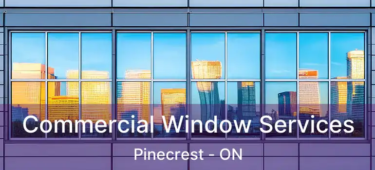  Commercial Window Services Pinecrest - ON