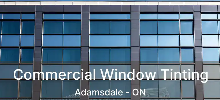  Commercial Window Tinting Adamsdale - ON