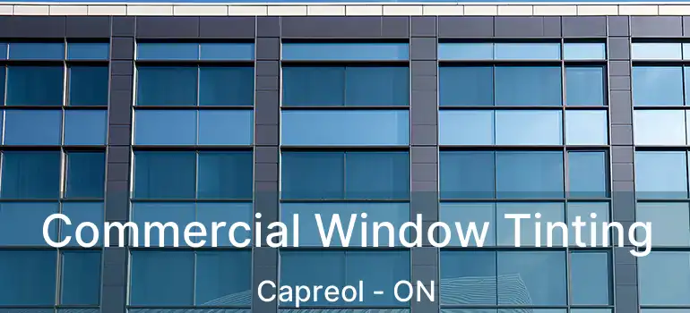  Commercial Window Tinting Capreol - ON