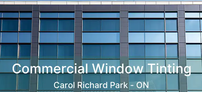  Commercial Window Tinting Carol Richard Park - ON