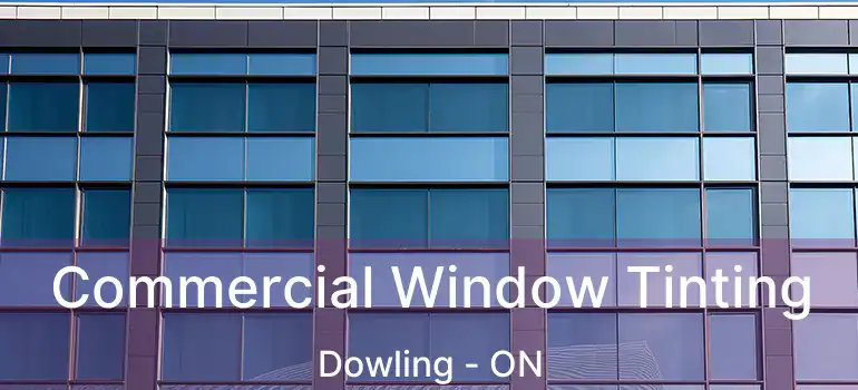  Commercial Window Tinting Dowling - ON