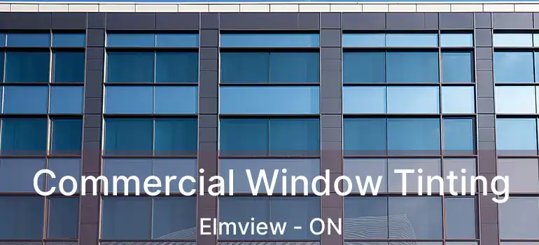  Commercial Window Tinting Elmview - ON