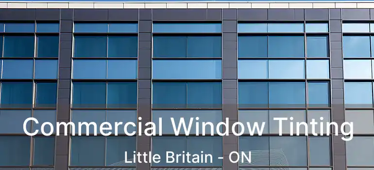  Commercial Window Tinting Little Britain - ON