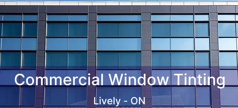  Commercial Window Tinting Lively - ON