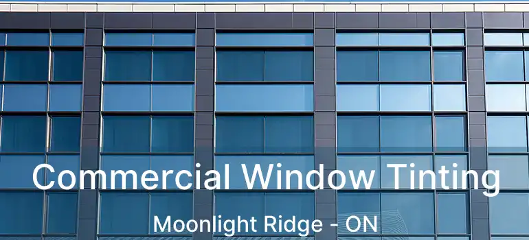  Commercial Window Tinting Moonlight Ridge - ON