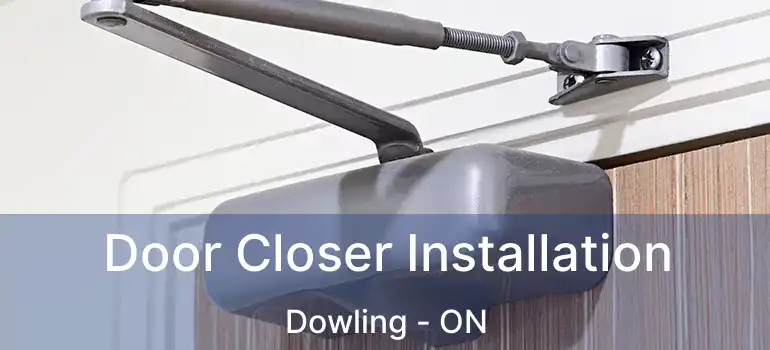  Door Closer Installation Dowling - ON