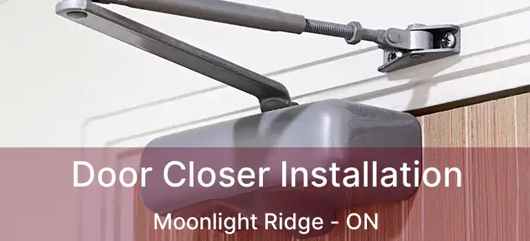  Door Closer Installation Moonlight Ridge - ON